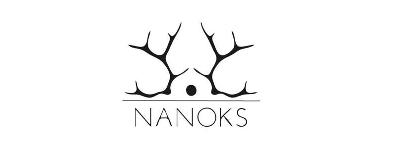 Nanoks